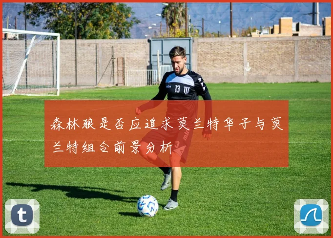 森林狼是否应追求莫兰特华子与莫兰特组合前景分析