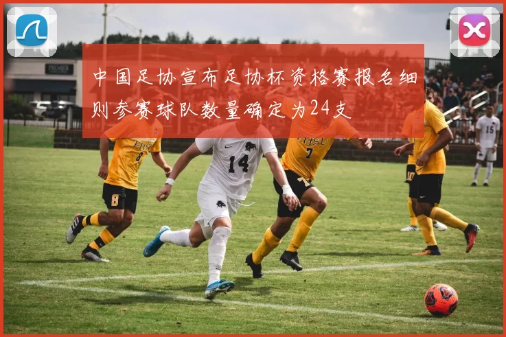 中国足协宣布足协杯资格赛报名细则参赛球队数量确定为24支