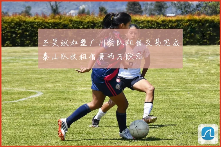 王昊斌加盟广州豹队租借交易完成泰山队收租借费两万欧元