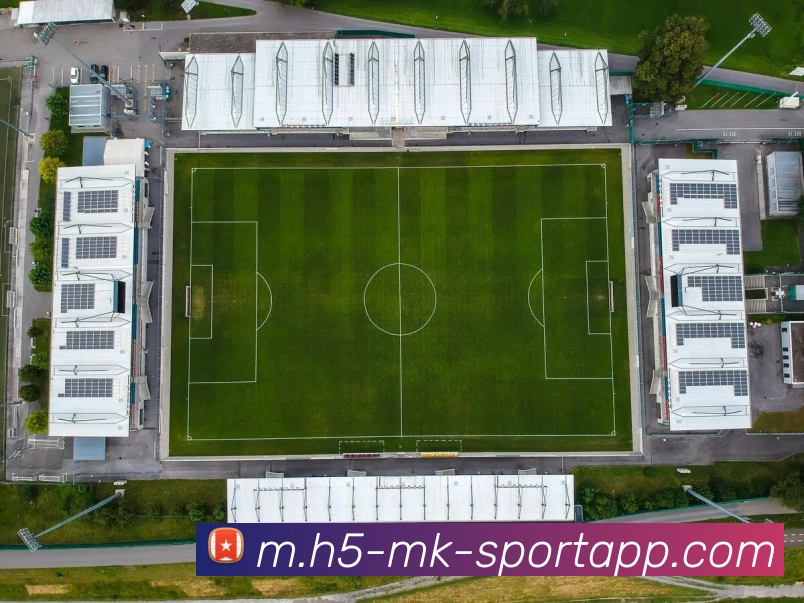 MK体育APP 封面图